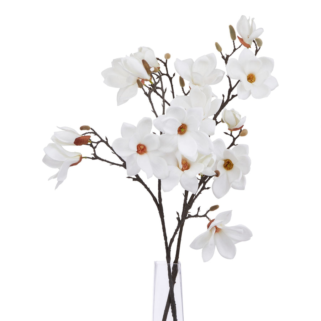 The Natural Garden Collection White Magnolia Stem Shades 4 Seasons