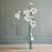 The Natural Garden Collection White Magnolia Stem WHITE PLASTIC Shades 4 Seasons