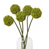Shades 4 Seasons Allium Stem for Elegant Home Decor Shades 4 Seasons