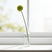 Shades 4 Seasons Allium Stem for Elegant Home Decor GREEN PLASTIC Shades 4 Seasons