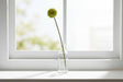 Shades 4 Seasons Allium Stem for Elegant Home Decor GREEN PLASTIC Shades 4 Seasons