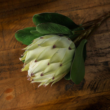 Shades 4 Seasons White Protea Single Stem Realistic Shades 4 Seasons