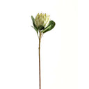 Shades 4 Seasons White Protea Single Stem Realistic WHITE PLASTIC Shades 4 Seasons