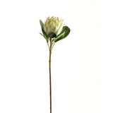 Shades 4 Seasons White Protea Single Stem Realistic WHITE PLASTIC Shades 4 Seasons