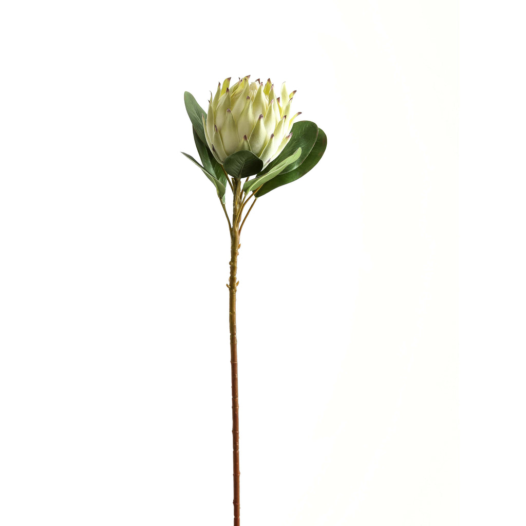 Shades 4 Seasons White Protea Single Stem Realistic WHITE PLASTIC Shades 4 Seasons