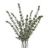 Shades 4 Seasons Realistic Eucalyptus Spray - Single Stem Shades 4 Seasons