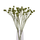 Shades 4 Seasons Craspedia Stem - Artificial, Long-Lasting Shades 4 Seasons