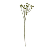 Shades 4 Seasons Craspedia Stem - Artificial, Long-Lasting Shades 4 Seasons