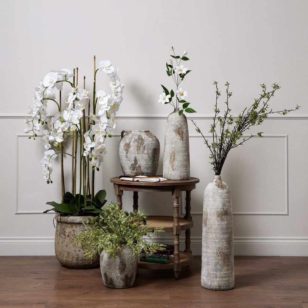 Large White Orchid In Antique Stone Pot Shades 4 Seasons