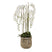 Large White Orchid In Antique Stone Pot WHITE PLASTIC Shades 4 Seasons