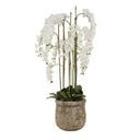Large White Orchid In Antique Stone Pot WHITE PLASTIC Shades 4 Seasons