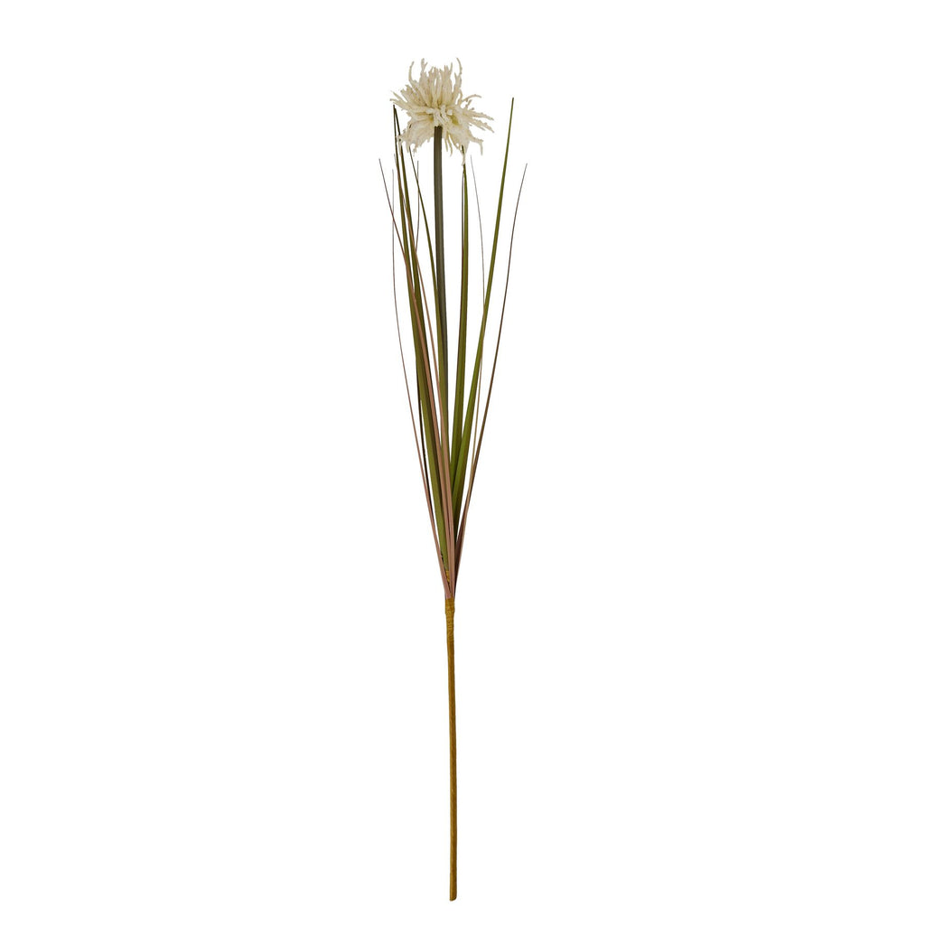 Cream Aster Spider Chrysanthemum Stem Shades 4 Seasons