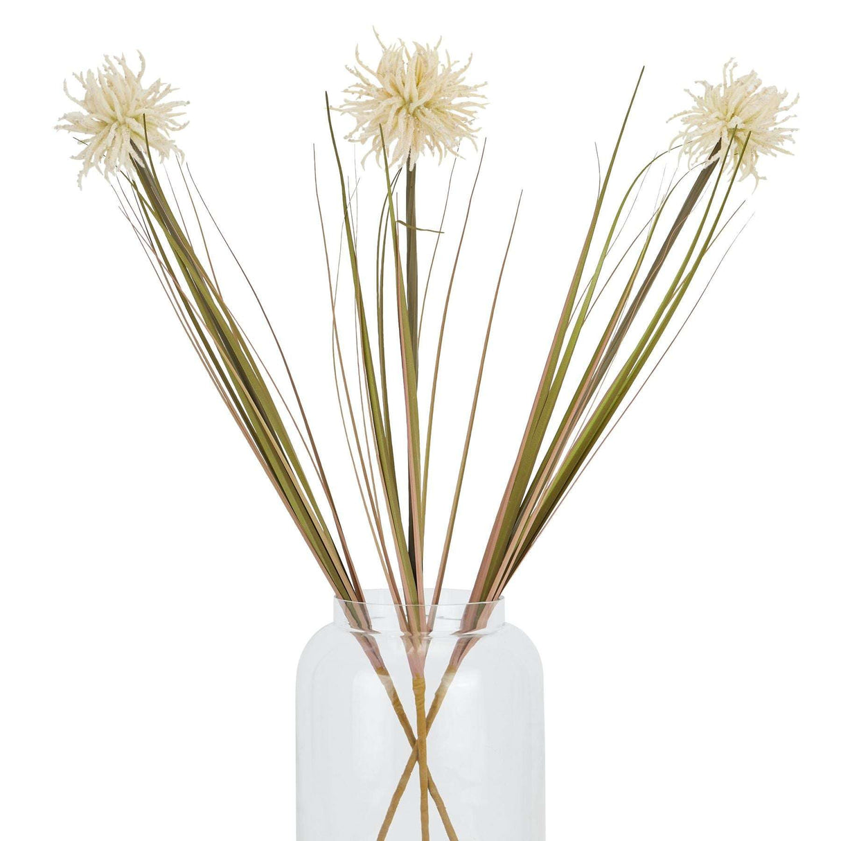 Cream Aster Spider Chrysanthemum Stem Shades 4 Seasons