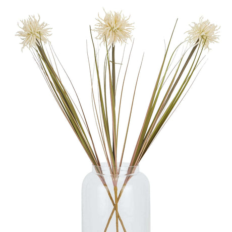 Cream Aster Spider Chrysanthemum Stem Shades 4 Seasons