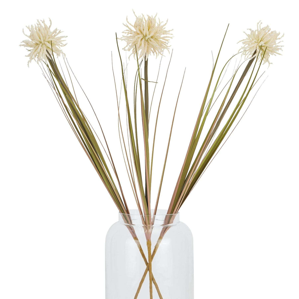 Cream Aster Spider Chrysanthemum Stem Shades 4 Seasons