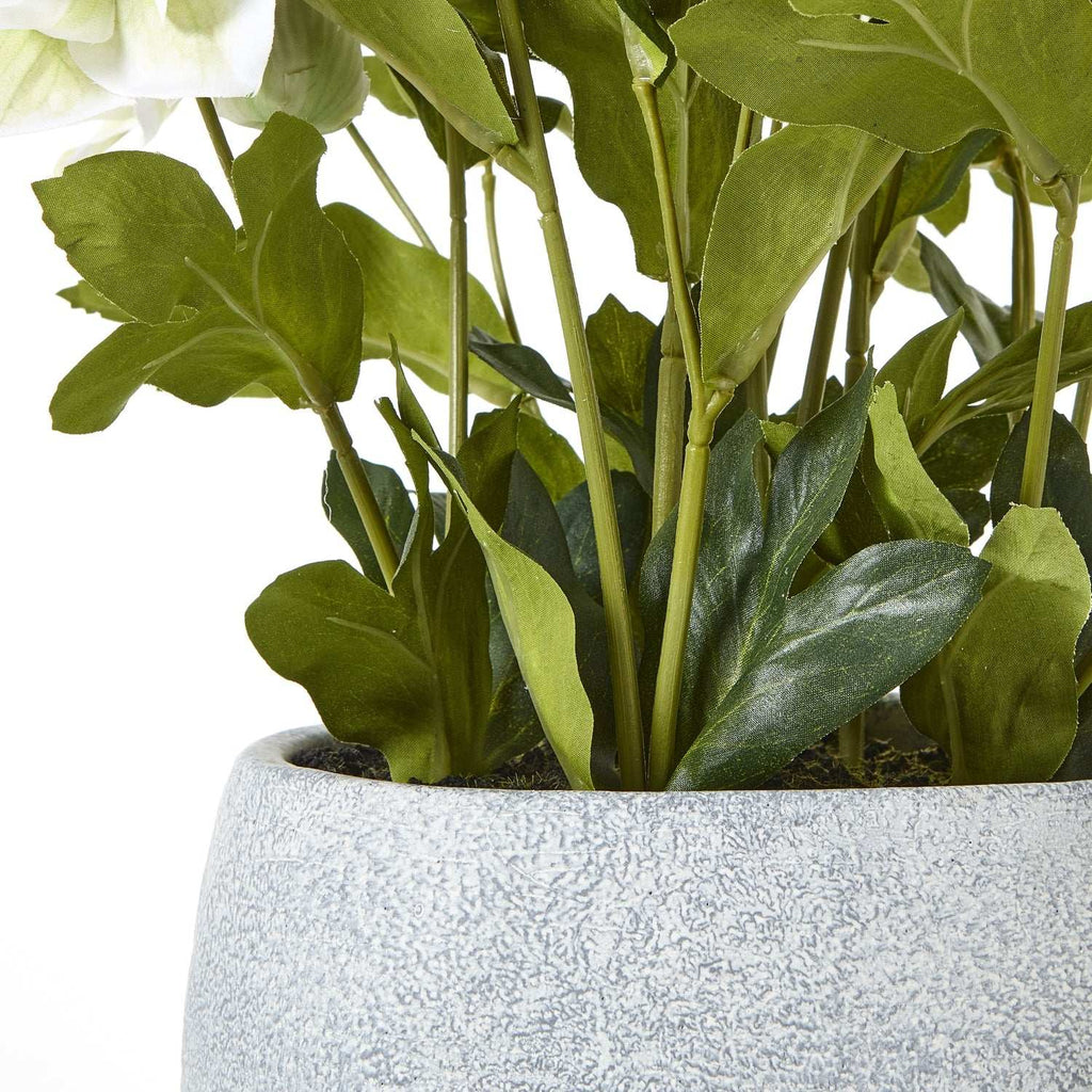Shades 4 Seasons Hellebore Plant - Elegant Artificial Flowers Shades 4 Seasons