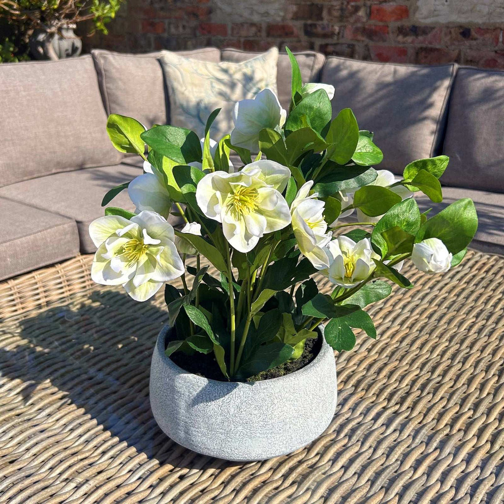 Shades 4 Seasons Hellebore Plant - Elegant Artificial Flowers Shades 4 Seasons