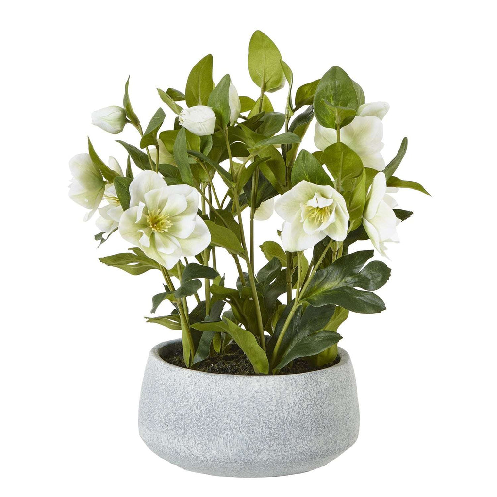 Shades 4 Seasons Hellebore Plant - Elegant Artificial Flowers WHITE PLASTIC Shades 4 Seasons