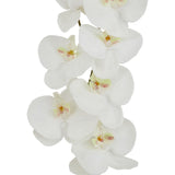 Shades 4 Seasons Butterfly Orchid Stem - Realistic White Shades 4 Seasons