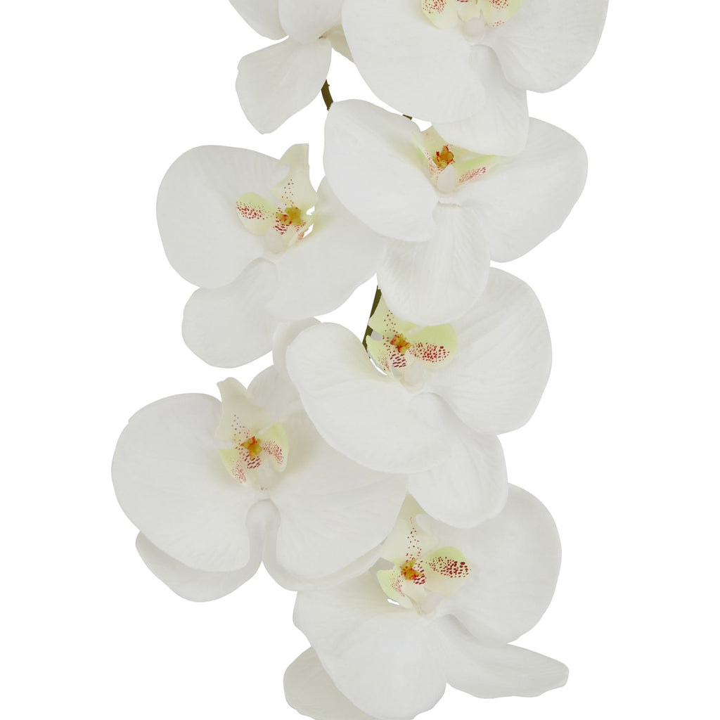 Shades 4 Seasons Butterfly Orchid Stem - Realistic White Shades 4 Seasons