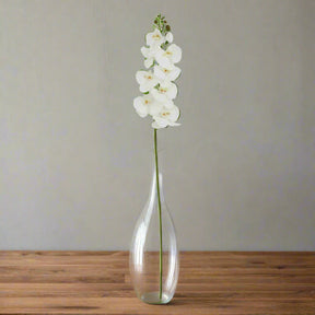 Shades 4 Seasons Butterfly Orchid Stem - Realistic White WHITE PLASTIC Shades 4 Seasons