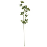 Shades 4 Seasons Lifelike Cow Parsley Ammi Stem Shades 4 Seasons