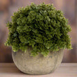 Shades 4 Seasons Miniature Hebe Lifelike Pot Plant Default Title Shades 4 Seasons