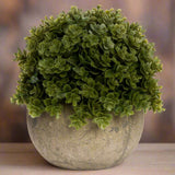 Shades 4 Seasons Miniature Hebe Lifelike Pot Plant Default Title Shades 4 Seasons