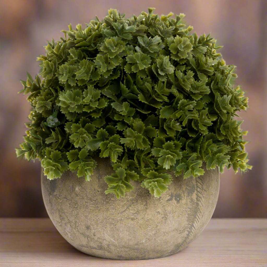 Shades 4 Seasons Miniature Hebe Lifelike Pot Plant Default Title Shades 4 Seasons