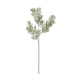 Shades 4 Seasons Silver Wattle Leaf Stem - Artificial Decor Shades 4 Seasons