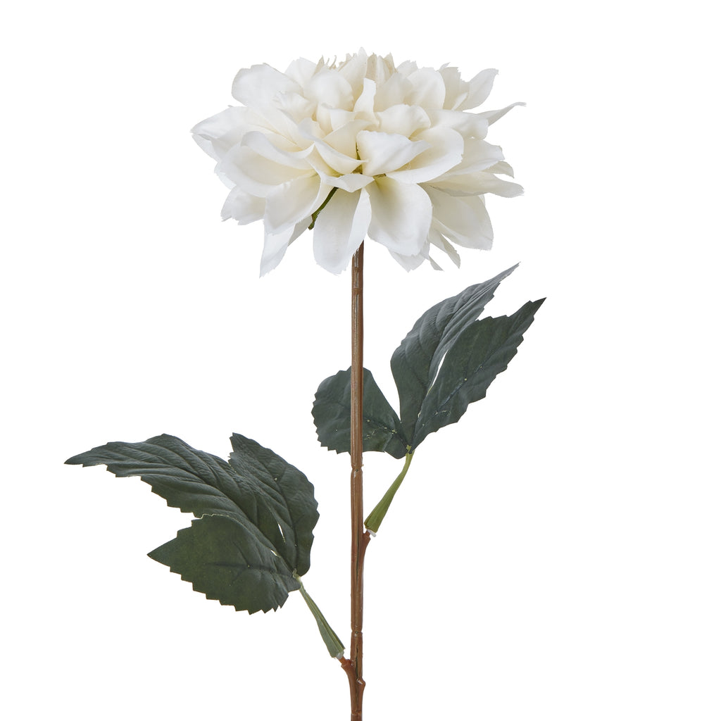 The Natural Garden Collection Tall White Dahlia Shades 4 Seasons
