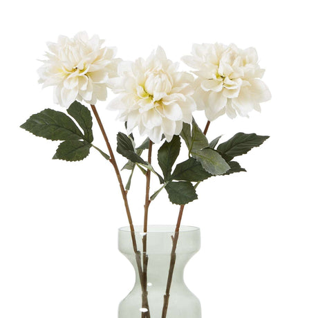 The Natural Garden Collection Tall White Dahlia Shades 4 Seasons