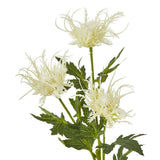 Shades 4 Seasons Holly Spray for Elegant Floral Displays Shades 4 Seasons