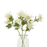 Shades 4 Seasons Holly Spray for Elegant Floral Displays Shades 4 Seasons