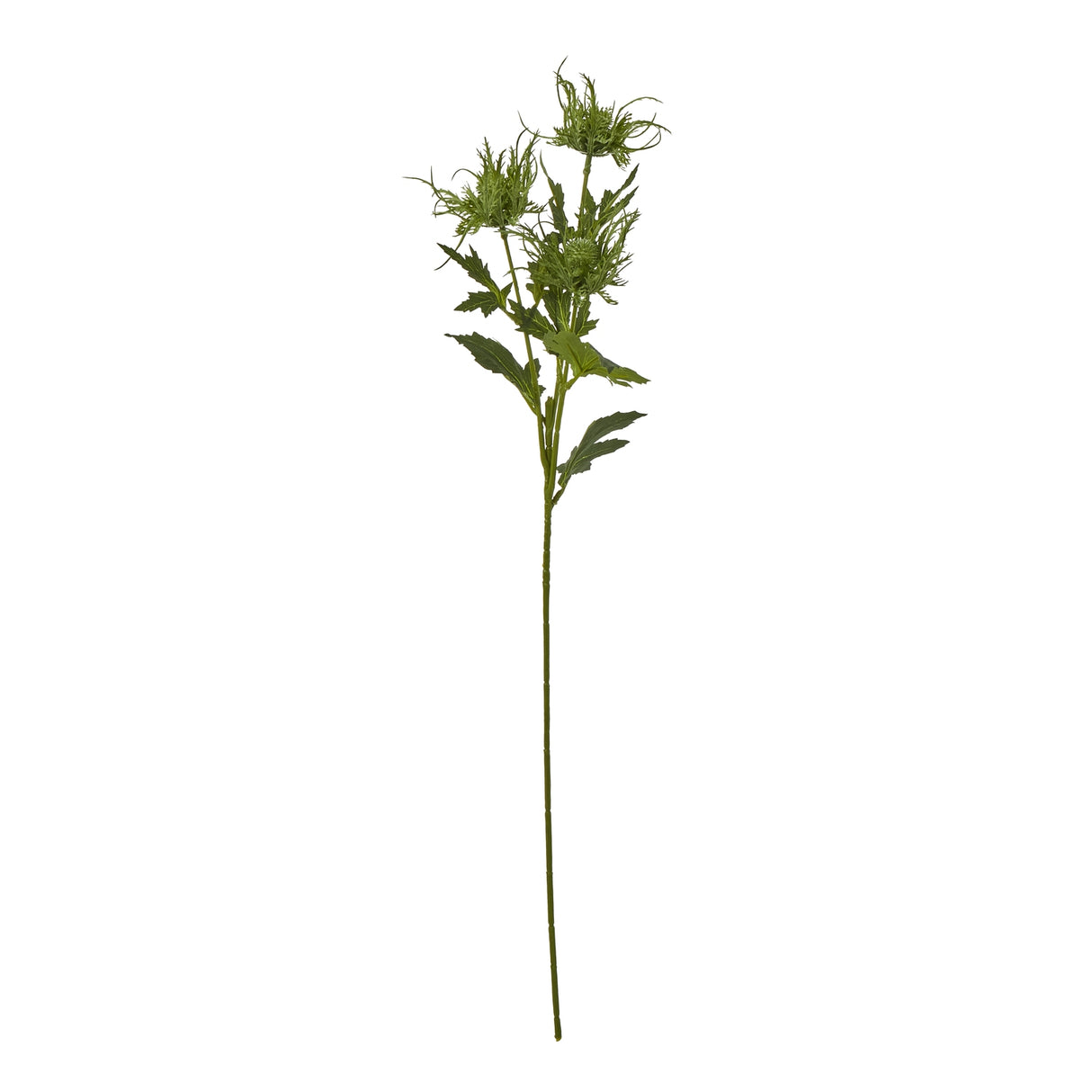 Shades 4 Seasons Sea Holly Spray for Home Decor GREEN PLASTIC Shades 4 Seasons