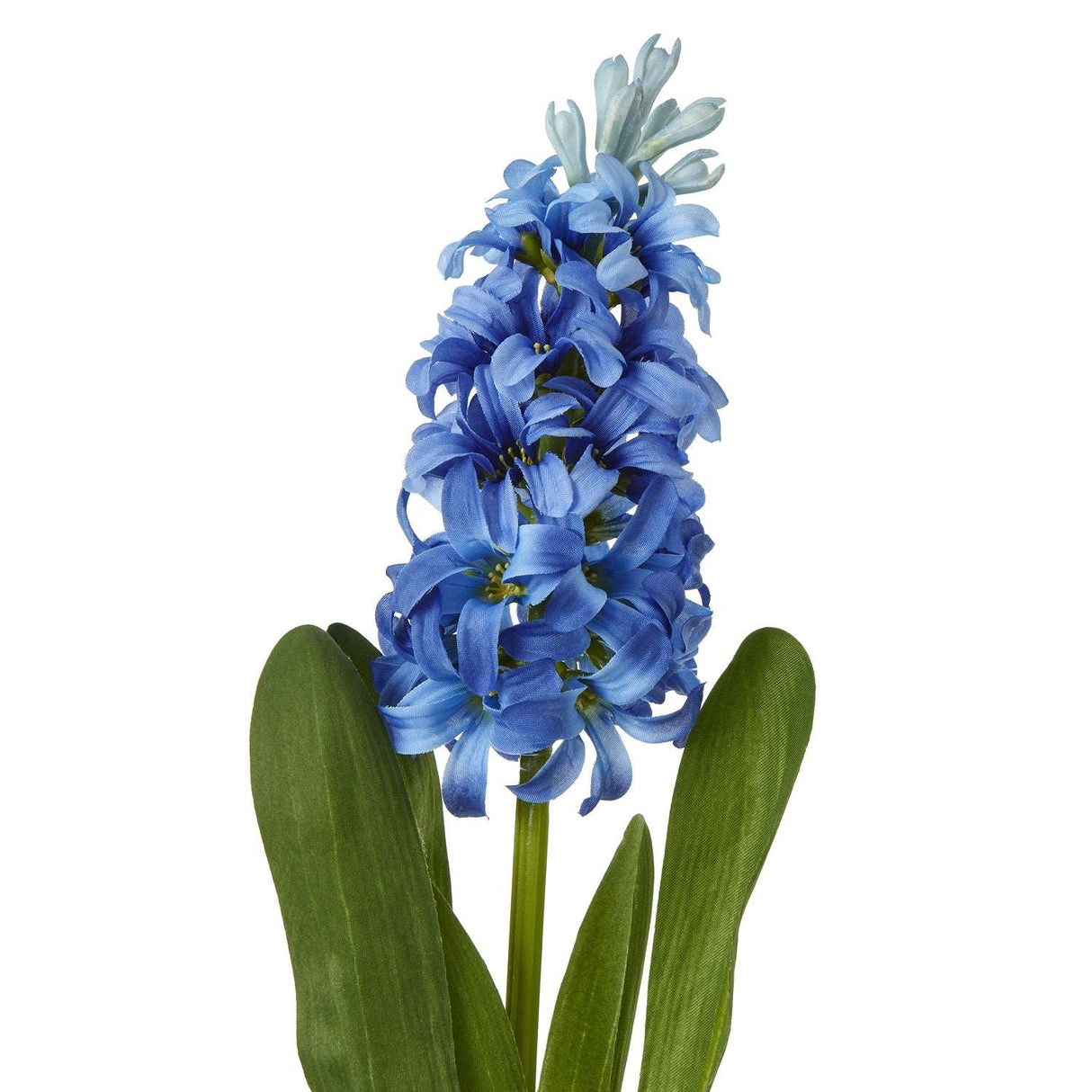 Shades 4 Seasons Hyacinth Stem - Perfect Home Accessory Shades 4 Seasons