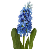 Shades 4 Seasons Hyacinth Stem - Perfect Home Accessory Shades 4 Seasons