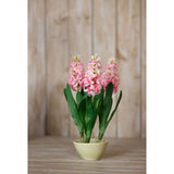 Shades 4 Seasons Pink Hyacinth Stem for Stylish Decor Shades 4 Seasons