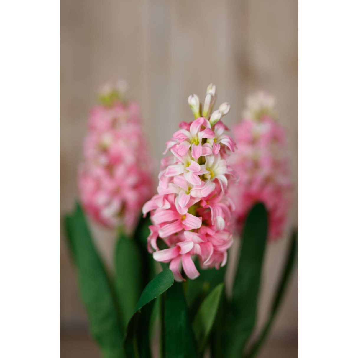 Shades 4 Seasons Pink Hyacinth Stem for Stylish Decor Shades 4 Seasons