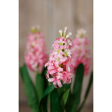 Shades 4 Seasons Pink Hyacinth Stem for Stylish Decor Shades 4 Seasons