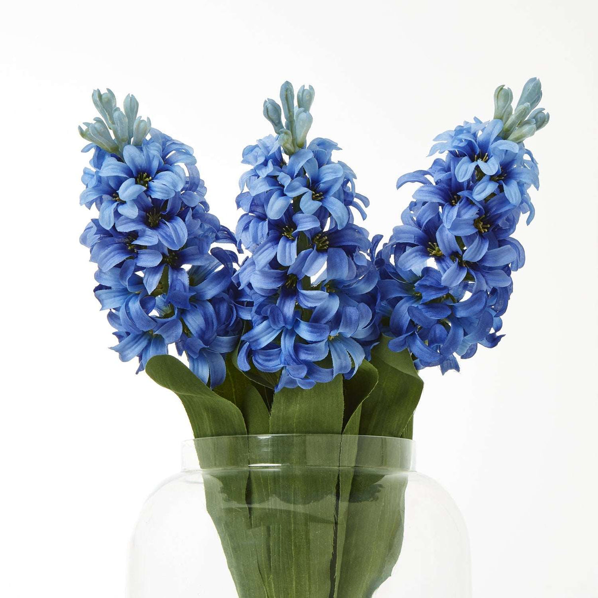 Shades 4 Seasons Hyacinth Stem - Perfect Home Accessory Shades 4 Seasons