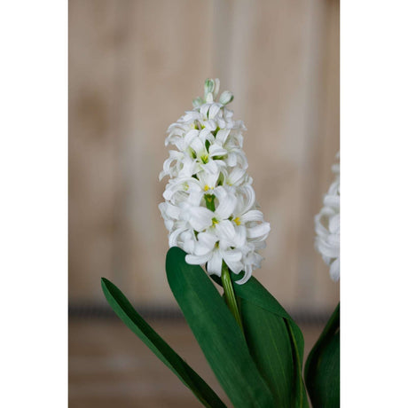 Shades 4 Seasons White Hyacinth Stem - Artificial Flower Shades 4 Seasons