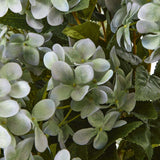 Shades 4 Seasons Hydrangea Plant for Stylish Decor Shades 4 Seasons