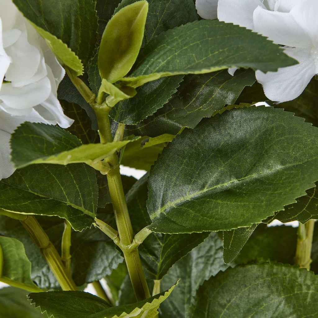 Medium White Hydrangea Plant In Pot Shades 4 Seasons