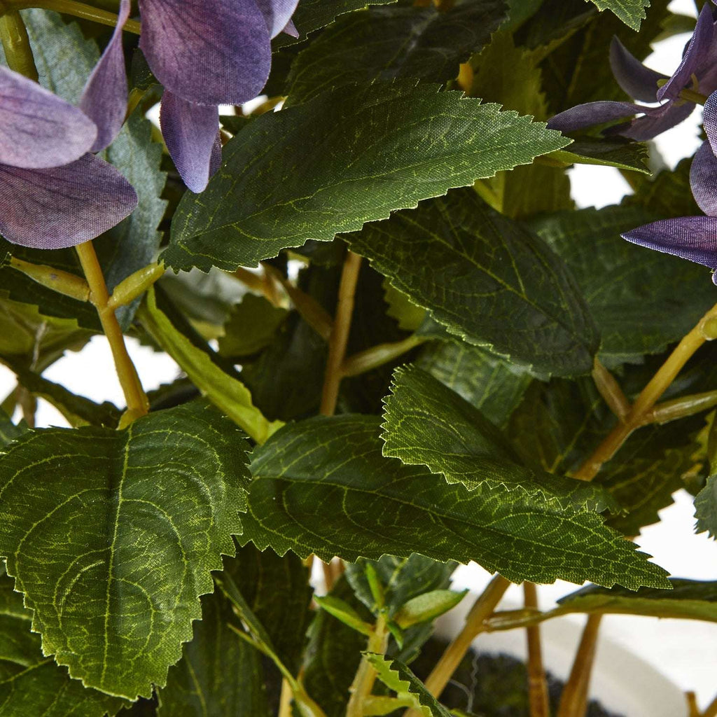 Medium Purple Hydrangea Plant In Pot Shades 4 Seasons