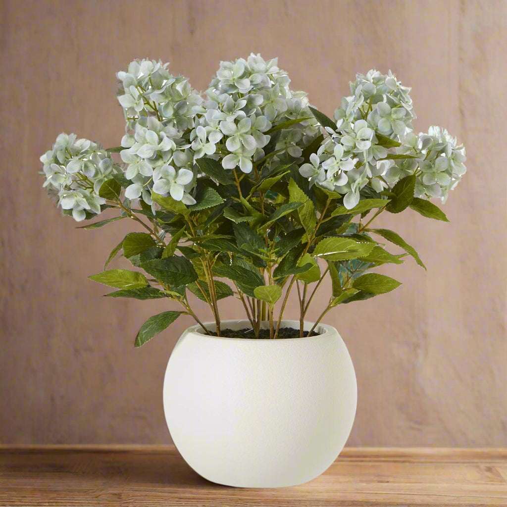 Medium Green Hydrangea Plant In Pot GREEN PLASTIC Shades 4 Seasons