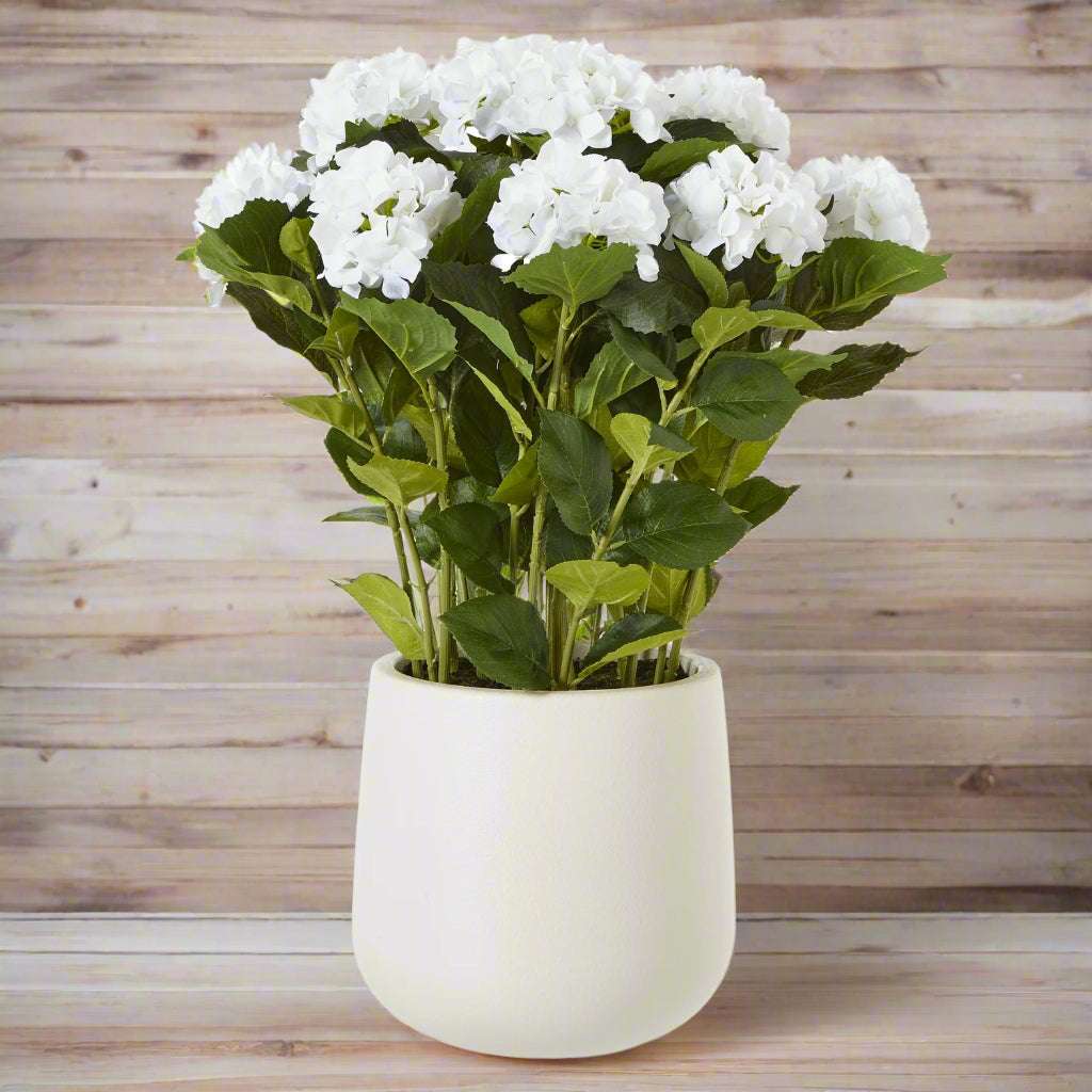 Shades 4 Seasons Hydrangea Plant for Stylish Decor WHITE PLASTIC Shades 4 Seasons