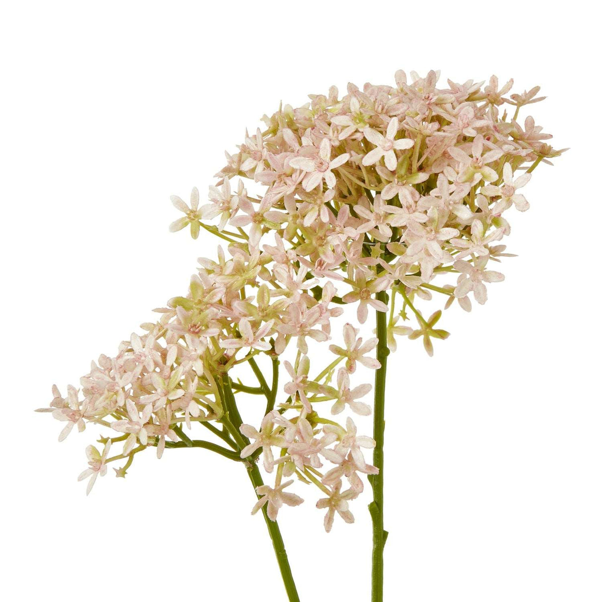 Shades 4 Seasons Hydrangea Stem for Stylish Home Decor Shades 4 Seasons