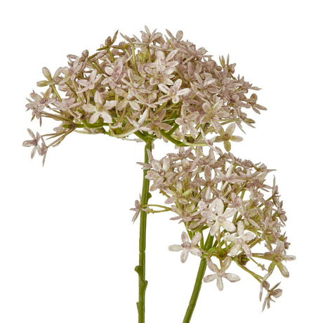 Shades 4 Seasons Hydrangea Stem for Elegant Decor Shades 4 Seasons
