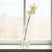 Shades 4 Seasons Hydrangea Stem - Elegant Home Accessory CREAM PLASTIC Shades 4 Seasons